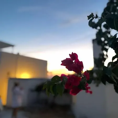 Glifada Sea View Penthouse Apartment Kastraki (Naxos)